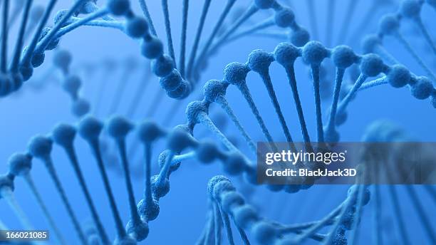 dna - chromosome stock-fotos und bilder