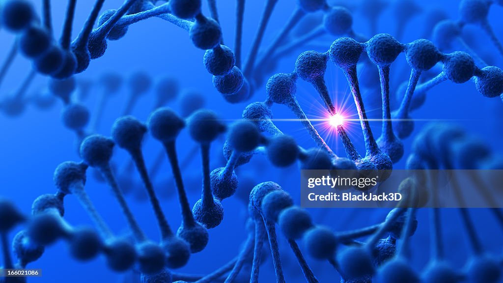 DNA Modification