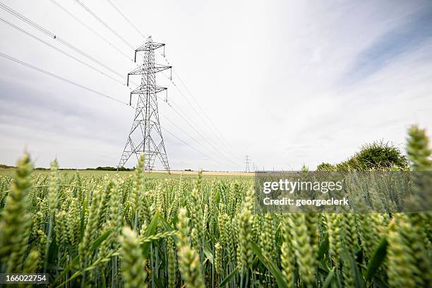 fornecimento de energia eléctrica através do campo - electricity pylon imagens e fotografias de stock