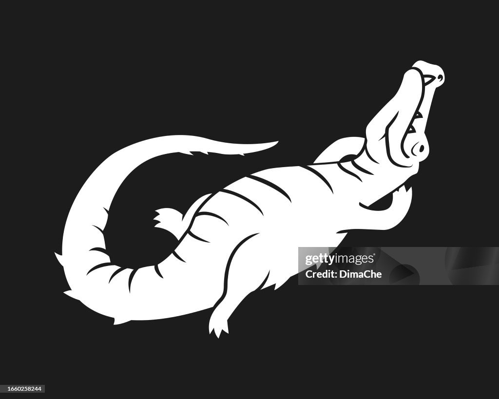 El cocodrilo cocodrilo yace boca arriba - silueta cortada