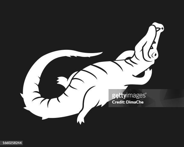 stockillustraties, clipart, cartoons en iconen met alligator crocodile lies on its back belly-up - cut out silhouette - flasche