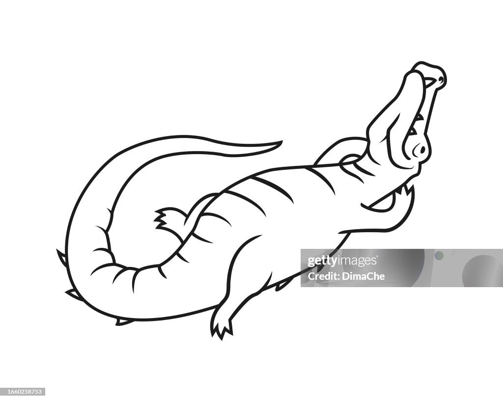 Alligator crocodile lies on its back belly-up - cut out outline silhouette