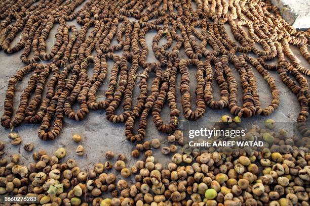 This picture taken on September 9, 2023 shows a view of fresh figs and stringed dried figs at a processing facility in the village of Kurin in the...