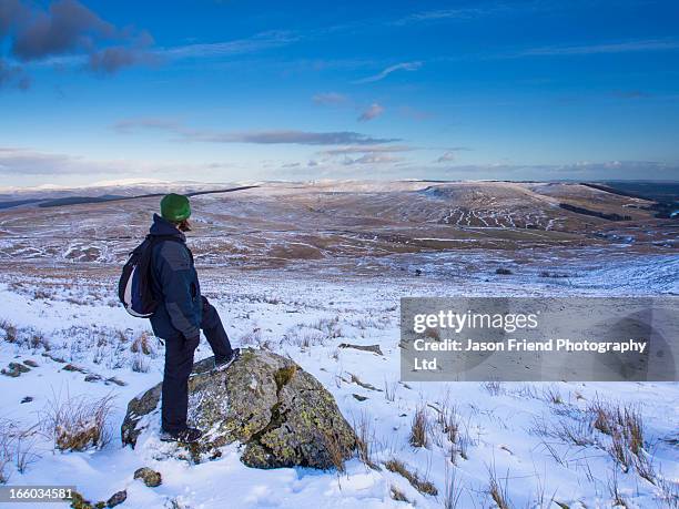 england, northumberland, northumberland national - cheviot hills stock-fotos und bilder