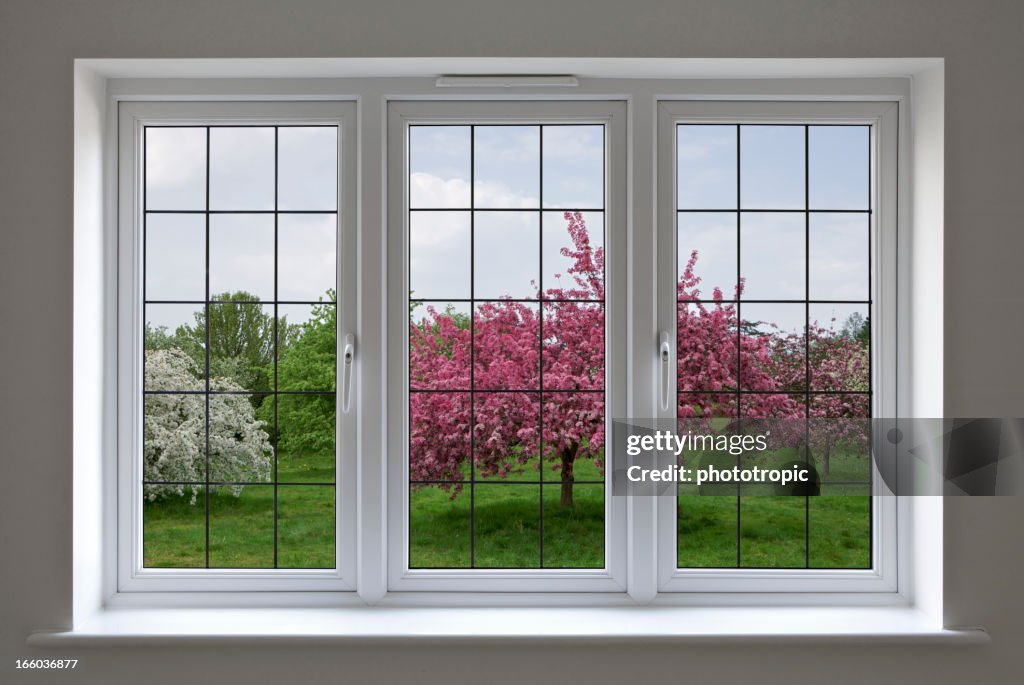 Apple orchard through leaded glass window