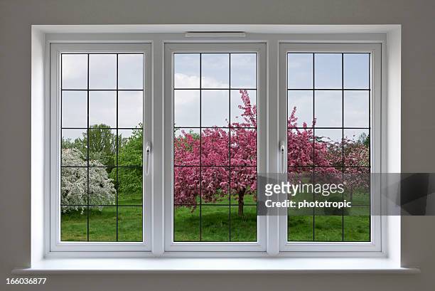 apple orchard through leaded glass window - window frame stock pictures, royalty-free photos & images