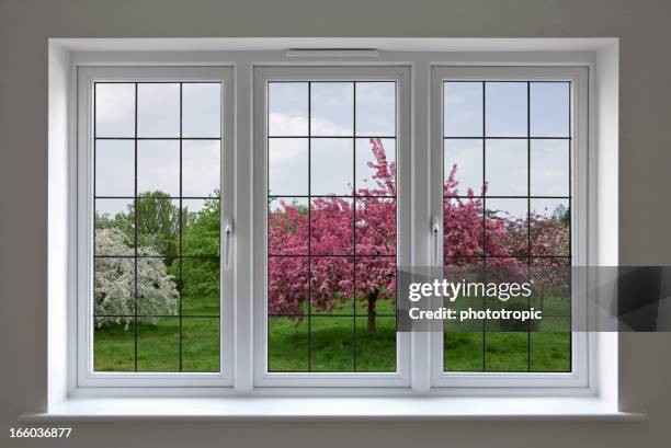 apple orchard through leaded glass window - glazed food stock pictures, royalty-free photos & images