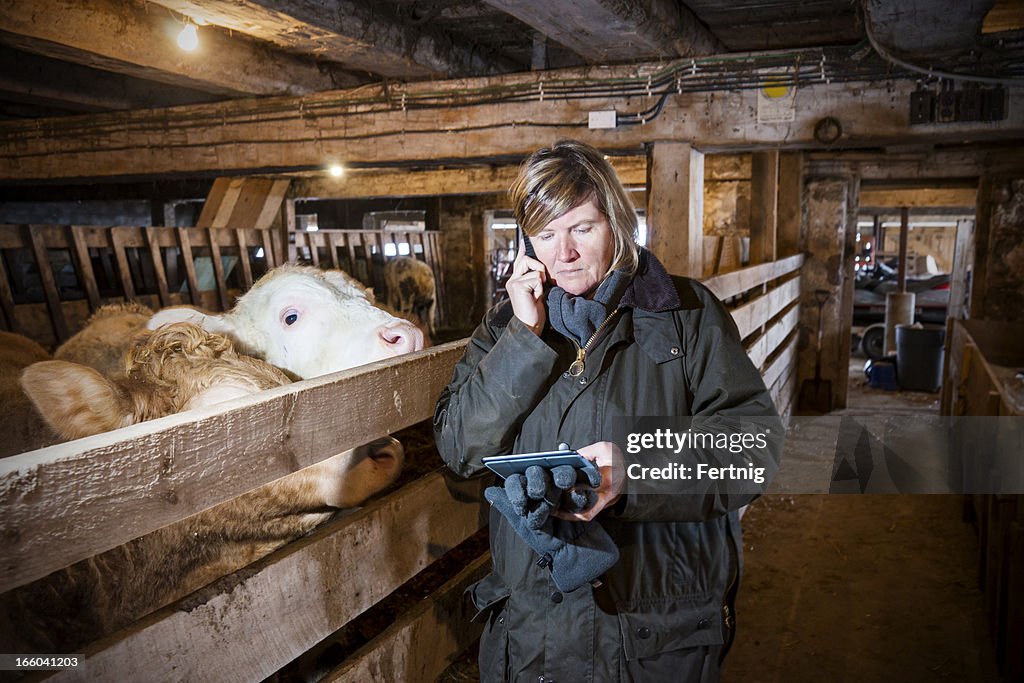 Female farmer in a barn using smartphone and tablet