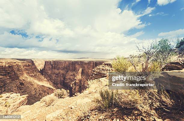 grand canyon national park on arizona - toroweap point stock pictures, royalty-free photos & images