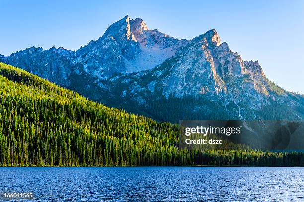 montanhas sawtooth e stanley lago - national forest imagens e fotografias de stock