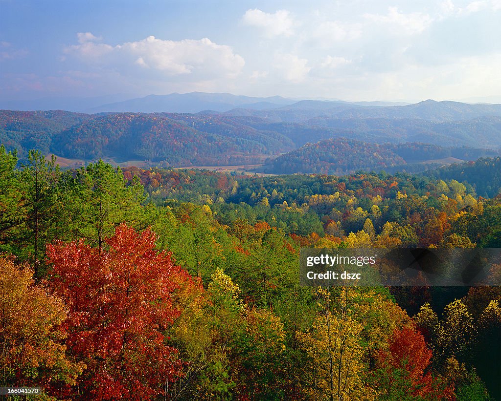 Montagne Fumose autunno