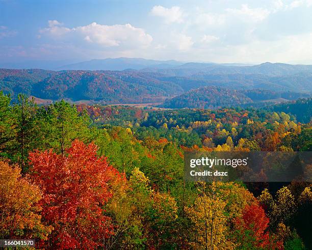 smoky mountains autumn - tennessee bildbanksfoton och bilder