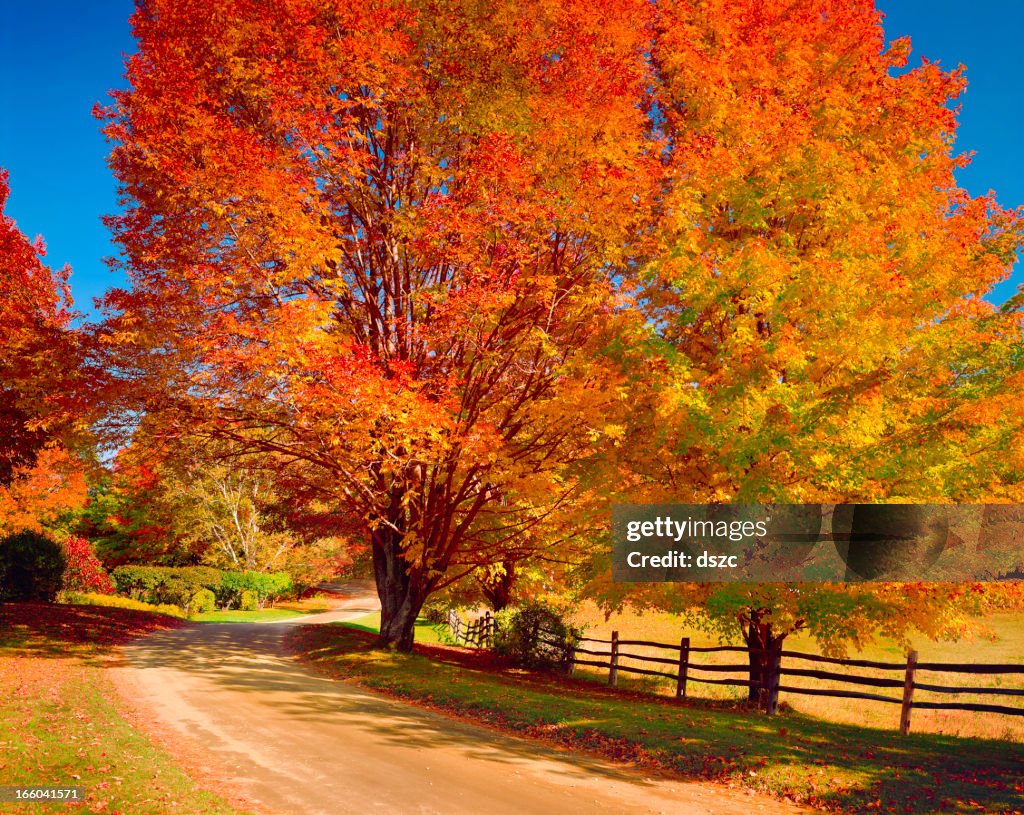 New England otoño carretera de campo