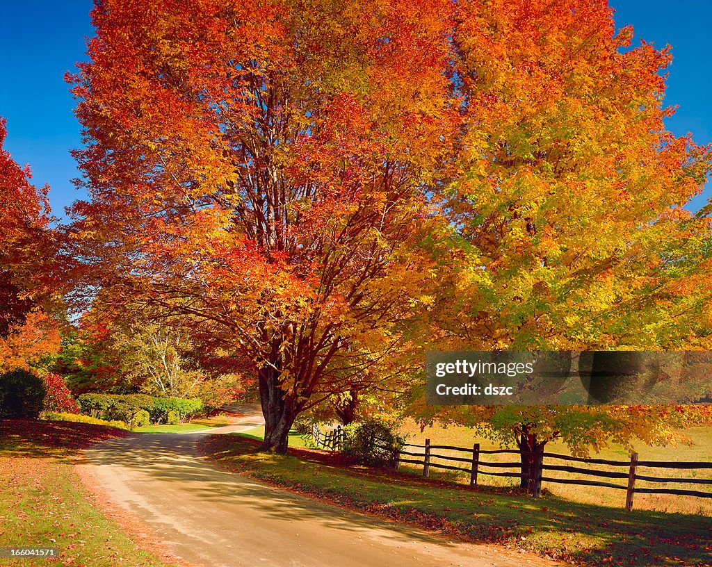 New England autumn country road