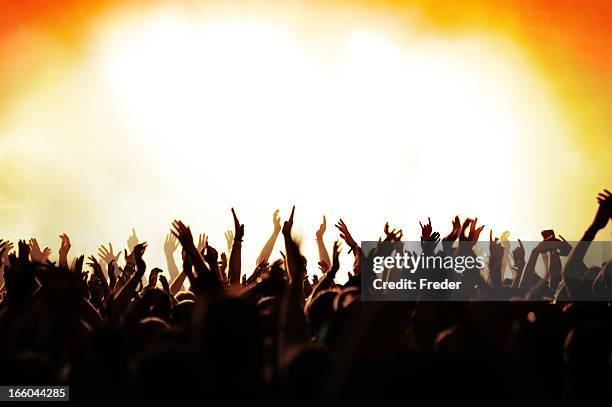 multitud de conciertos - live event fotografías e imágenes de stock