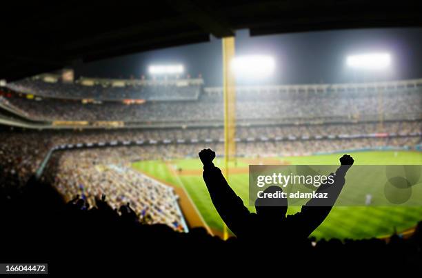 baseball excitement - baseball equipment stockfoto's en -beelden