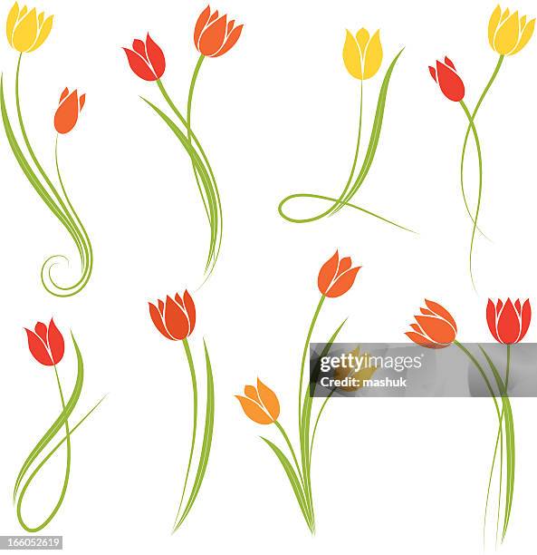 tulips - tulip stock illustrations