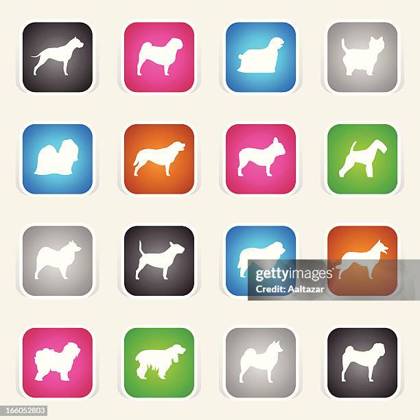 multicolor icons - dogs - cocker spaniel stock illustrations