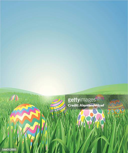 grass field with easter eggs - egg stock illustrations