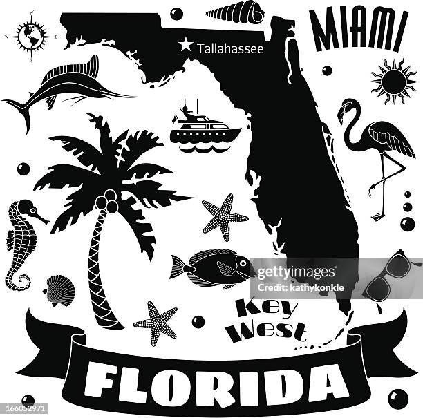 florida map - palm tree border stock illustrations