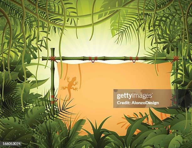 Bamboo Tree Sign 145 Bamboo Frame Sign Stock Photos, High-Res Pictures, and Images ...