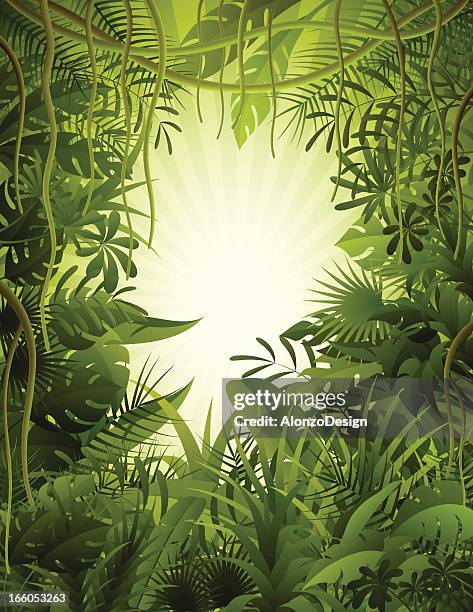 illustrations, cliparts, dessins animés et icônes de forêt tropicale humide - foret vierge