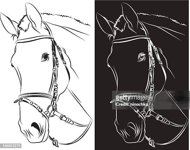 bildbanksillustrationer, clip art samt tecknat material och ikoner med horse's head - mustang wild horse