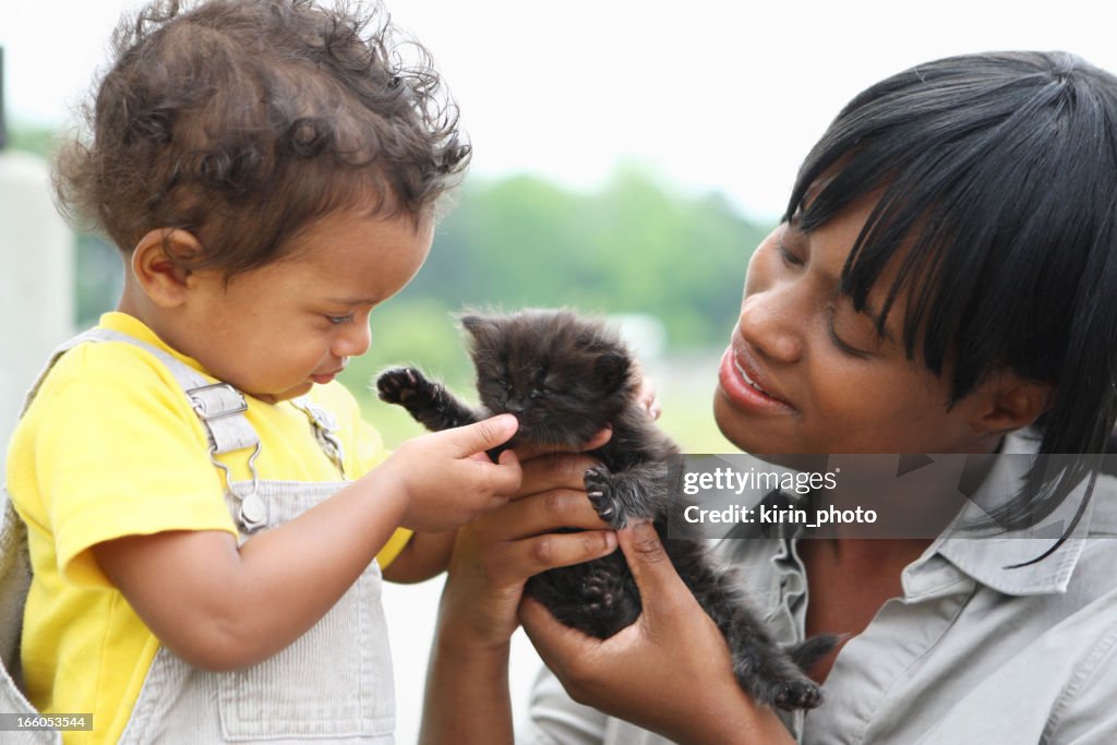 Playing with a kitten