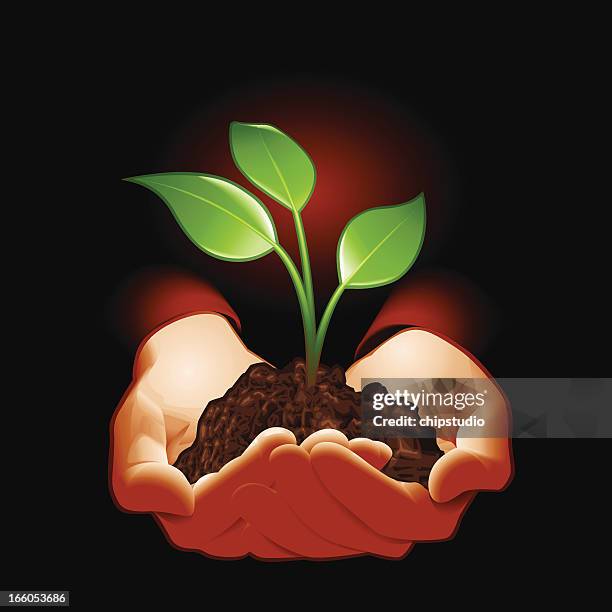 hold plant - hands cupped stock illustrations