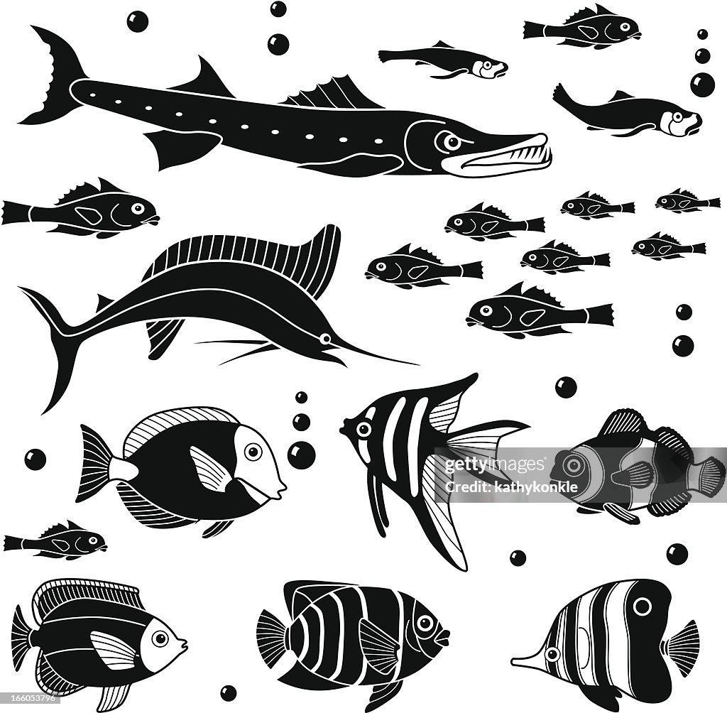 Various Fish High-Res Vector Graphic - Getty Images