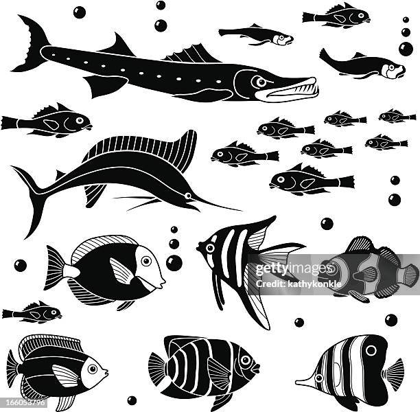 various fish - marlin stock illustrations
