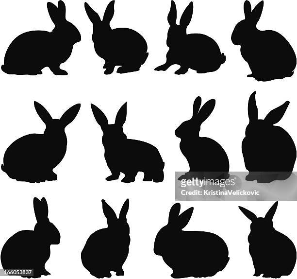 ilustrações de stock, clip art, desenhos animados e ícones de silhuetas de coelho - rabbit
