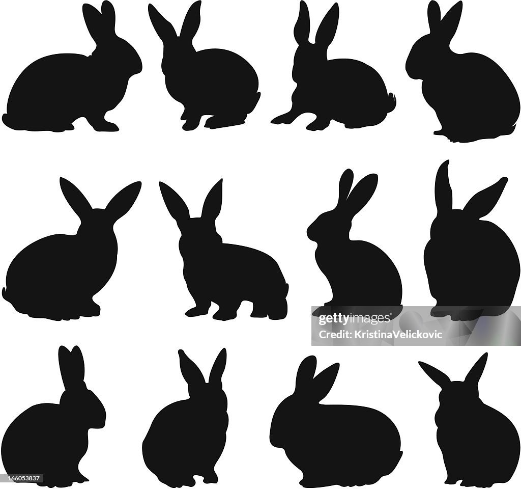 Rabbit silhouettes