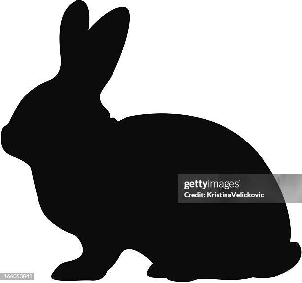 silhouette shadow illustration of a rabbit on white - easter bunny 幅插畫檔、美工圖案、卡通及圖標