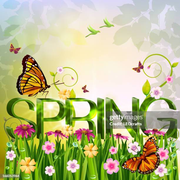 Spring Images Textural 81 Grass Texture Plan View Stock Photos, High-Res Pictures, and Images ...