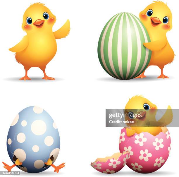 ilustraciones, imágenes clip art, dibujos animados e iconos de stock de chick conjunto de pascua - pollito