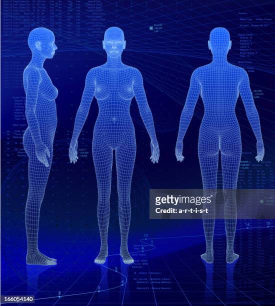 three-dimensional woman bodies on abstract background - female anatomy for artist stock illustrations