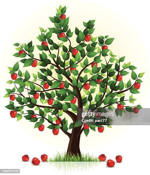 1 960点のリンゴ 木イラスト素材 Getty Images 1 960点のリンゴ 木イラスト素材 Getty Images