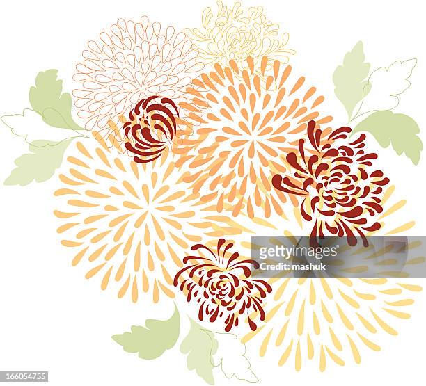 ilustraciones, imágenes clip art, dibujos animados e iconos de stock de crisantemo - chrysanthemum