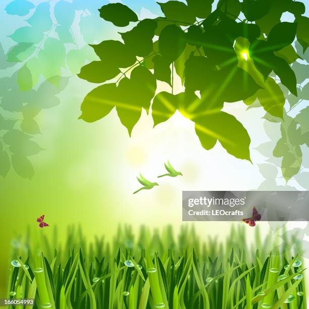 Beautiful Spring Background High-Res Vector Graphic - Getty Images