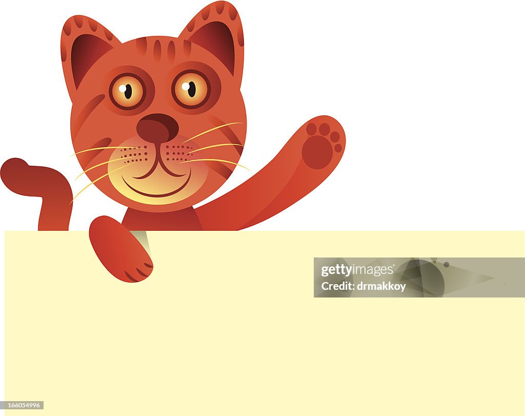 Cat and sign