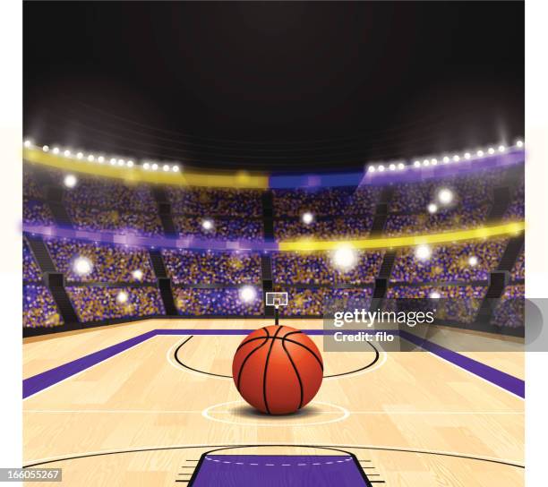 stockillustraties, clipart, cartoons en iconen met basketball arena - basketbal teamsport