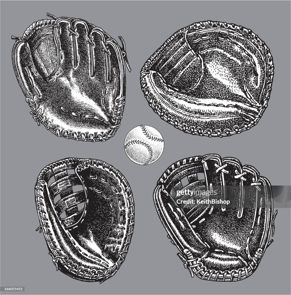 Baseball Gloves - Catchers Mitt, First Base, Infield, Outfield