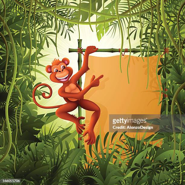 29 Monkey Jungle High Res Illustrations - Getty Images