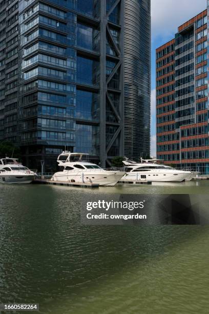 view of luxury yacht marina - spartan cruiser stock pictures, royalty-free photos & images