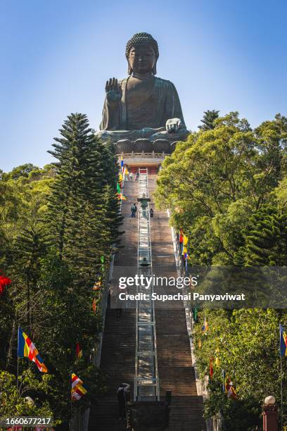 vertical shot of ngong ping big buddha, hong kong - großer buddha stock-fotos und bilder