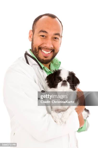 friendly veterinarian holding a dog - lap dog isolated stock pictures, royalty-free photos & images