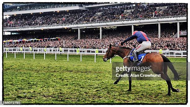 Barry Geraghty riding Bobs Worth win The Betfred Cheltenham Gold Cup Steeple Chase during Cheltenham Gold Cup Day at Cheltenham racecourse on March...
