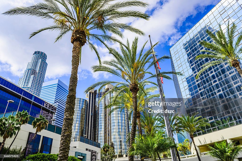 Downtown Los Angeles California skyline cityscape skyscrapers and palm trees