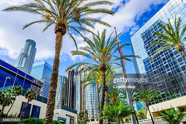 downtown los angeles california skyline cityscape skyscrapers and palm trees - palm trees california stock pictures, royalty-free photos & images